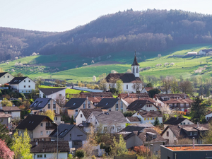 Traitement punaises de lit Forbach